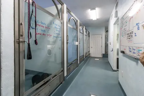 5213 & 5217 & 5231 SW 91st Drive Gainesville FL 32608