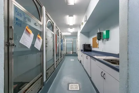 5213 & 5217 & 5231 SW 91st Drive Gainesville FL 32608