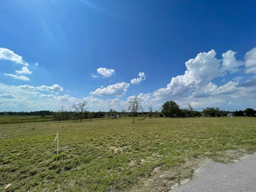 Lot 3 Mercado Court Clermont FL 34711