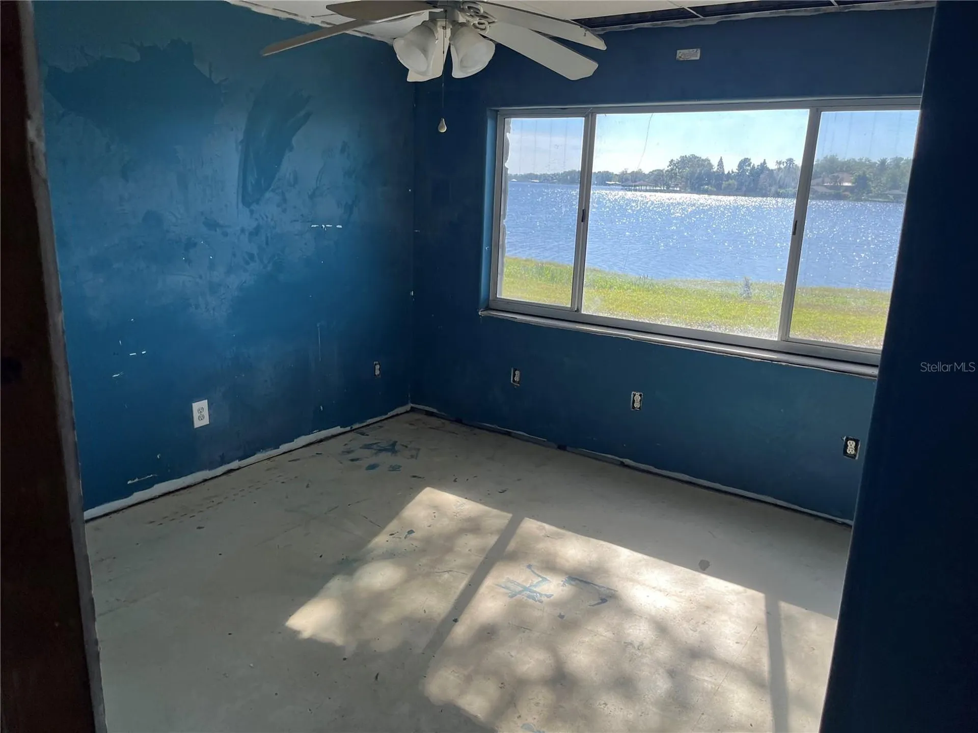 330 Callitris Avenue Polk City FL 33868