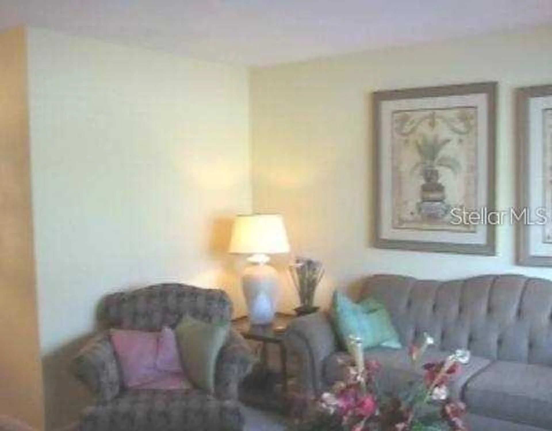 1345 Drew Street Clearwater FL 33755