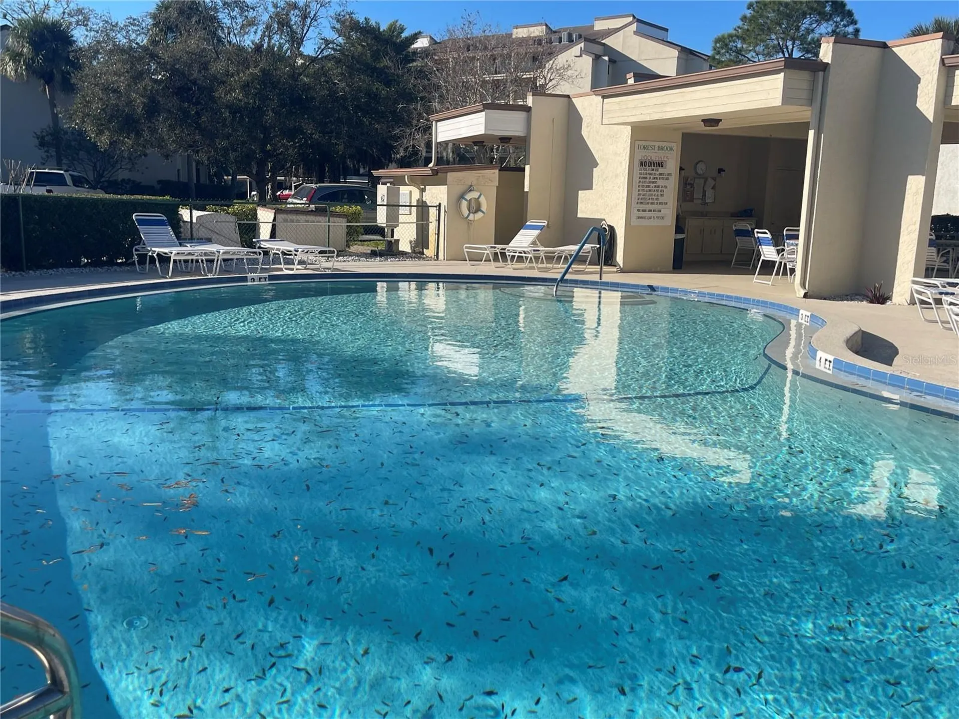 700 Starkey Road Largo FL 33771