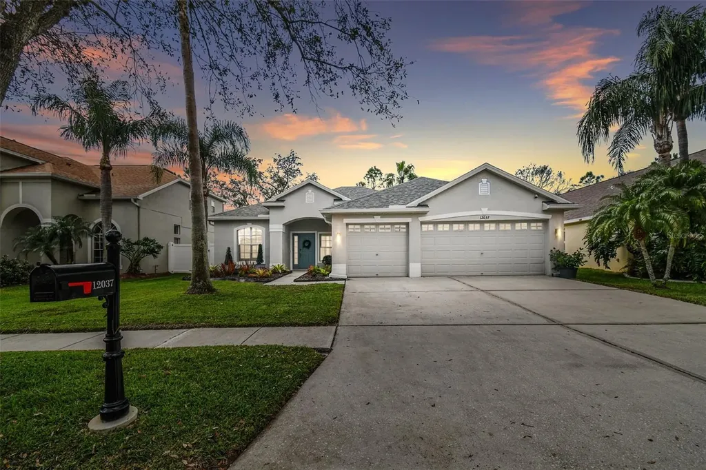 12037 Mountbatten Drive Tampa FL 33626