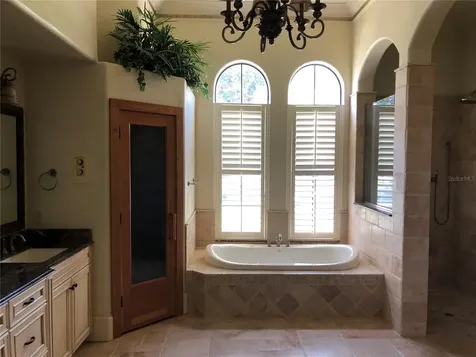 1238 Lake Whitney Drive Windermere FL 34786