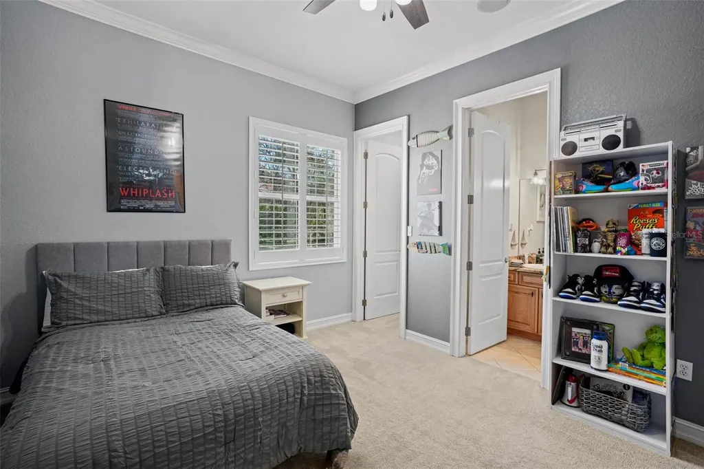 11518 Hammock Oaks Court Lithia FL 33547