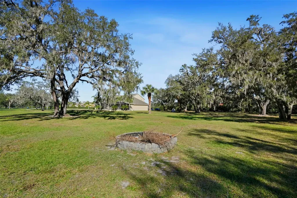 11518 Hammock Oaks Court Lithia FL 33547