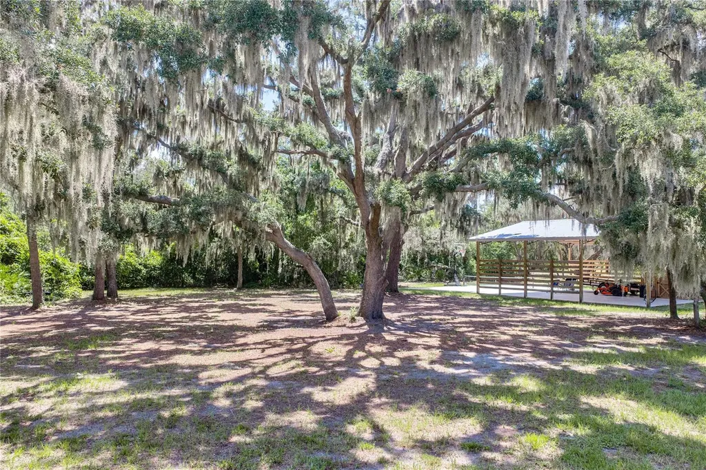 11518 Hammock Oaks Court Lithia FL 33547