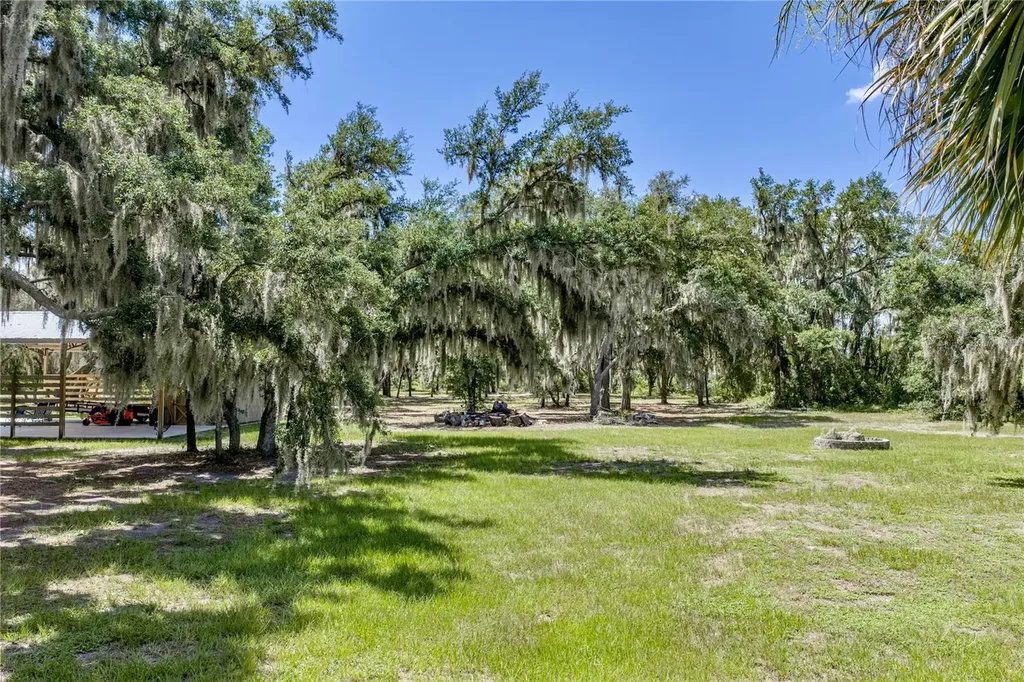 11518 Hammock Oaks Court Lithia FL 33547