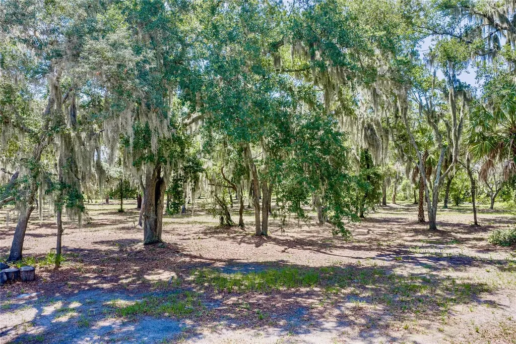 11518 Hammock Oaks Court Lithia FL 33547