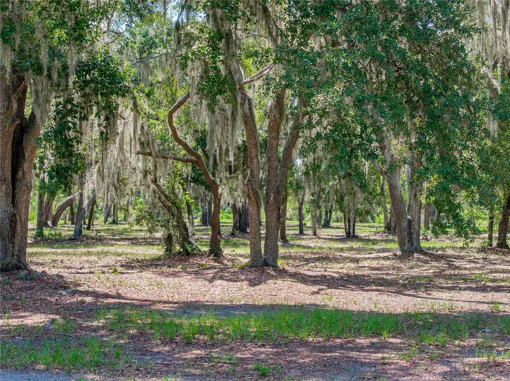 11518 Hammock Oaks Court Lithia FL 33547