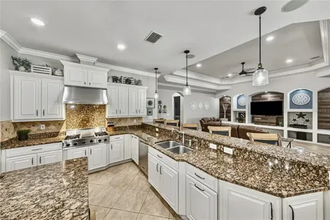 11518 Hammock Oaks Court Lithia FL 33547