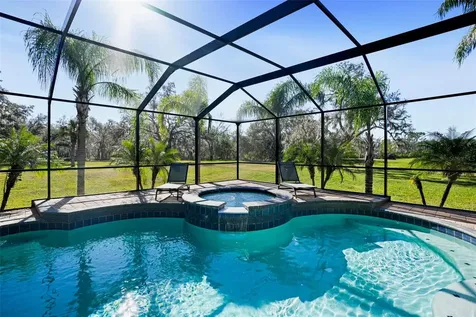 11518 Hammock Oaks Court Lithia FL 33547