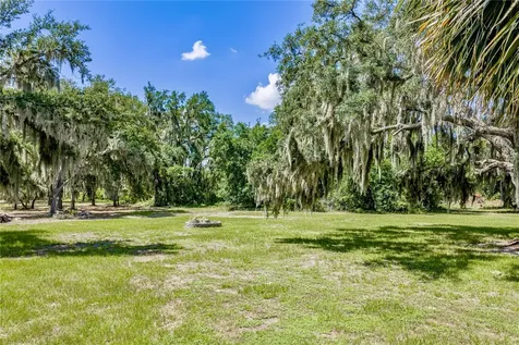 11518 Hammock Oaks Court Lithia FL 33547