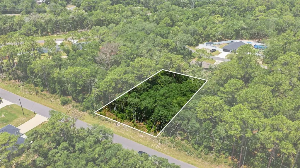Tbd Locust Terrace Trail Ocala FL 34472