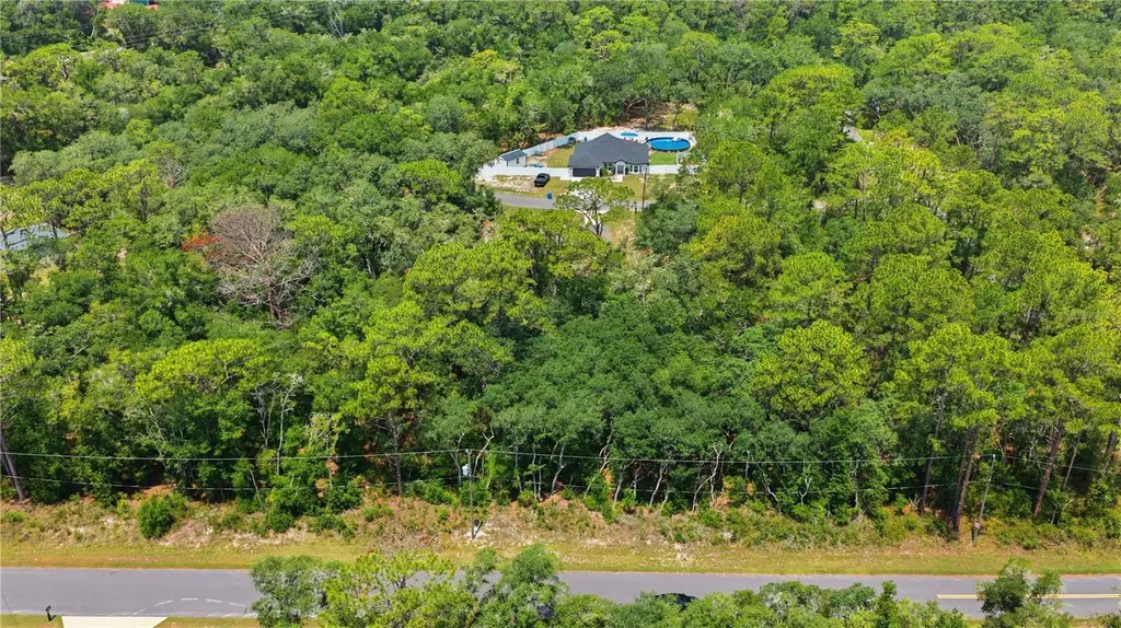 Tbd Locust Terrace Trail Ocala FL 34472