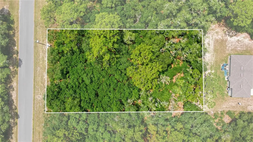 Tbd Locust Terrace Trail Ocala FL 34472