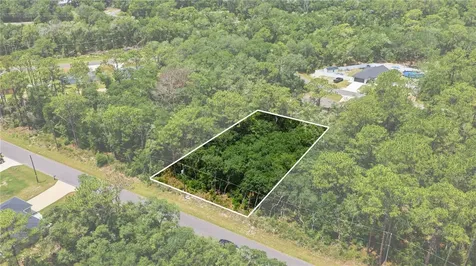 Tbd Locust Terrace Trail Ocala FL 34472
