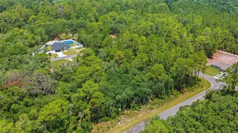 Tbd Locust Terrace Trail Ocala FL 34472