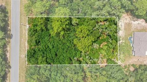 Tbd Locust Terrace Trail Ocala FL 34472
