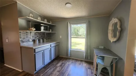 21114 Orange Court Mount Dora FL 32757