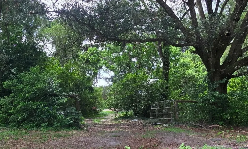 21320 Seneca Hills Road Eustis FL 32736