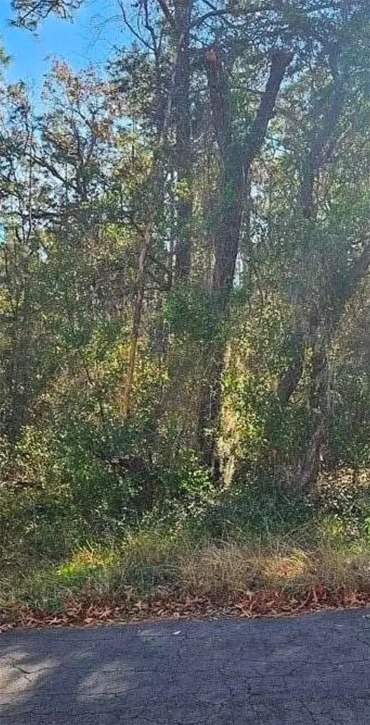 609 N Brighton Road Lecanto FL 34461
