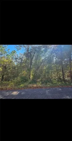 609 N Brighton Road Lecanto FL 34461