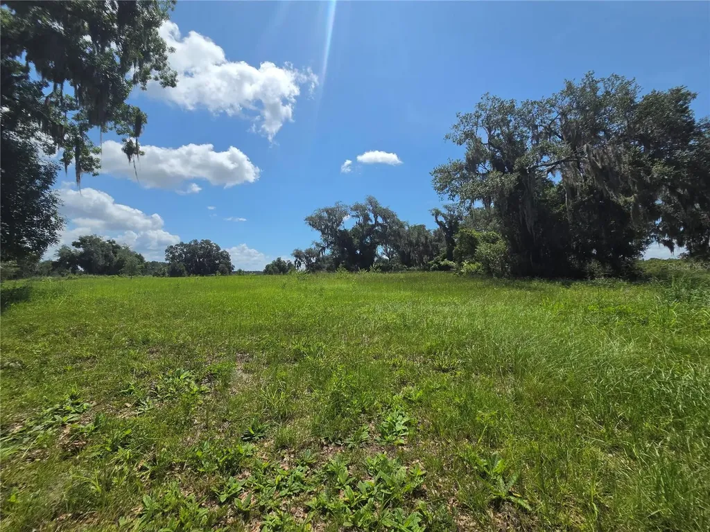 466 Long And Winding Road Howey In The Hills FL 34737