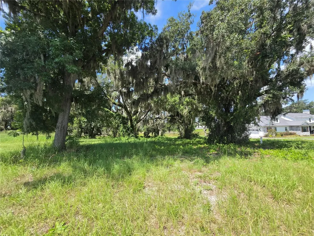 466 Long And Winding Road Howey In The Hills FL 34737