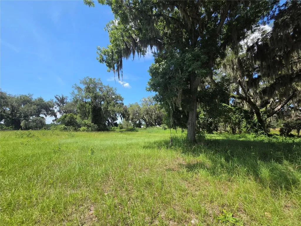 466 Long And Winding Road Howey In The Hills FL 34737