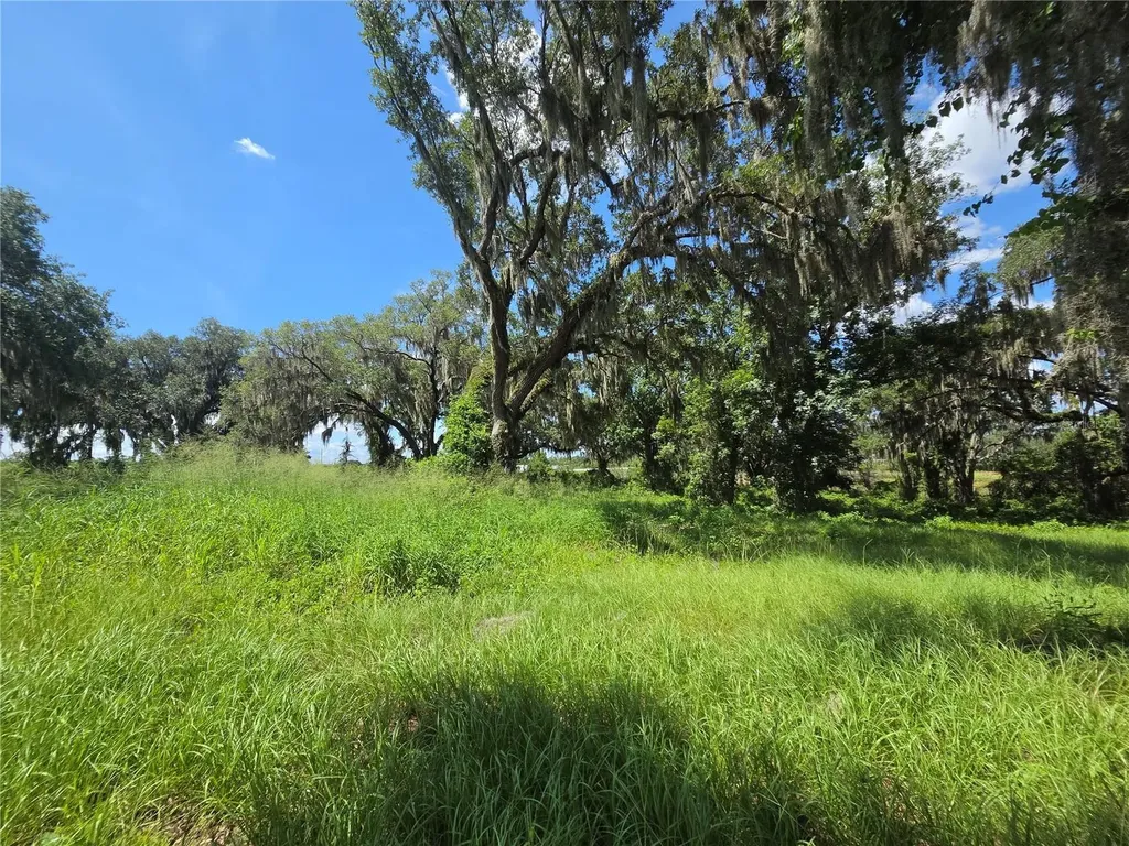 466 Long And Winding Road Howey In The Hills FL 34737