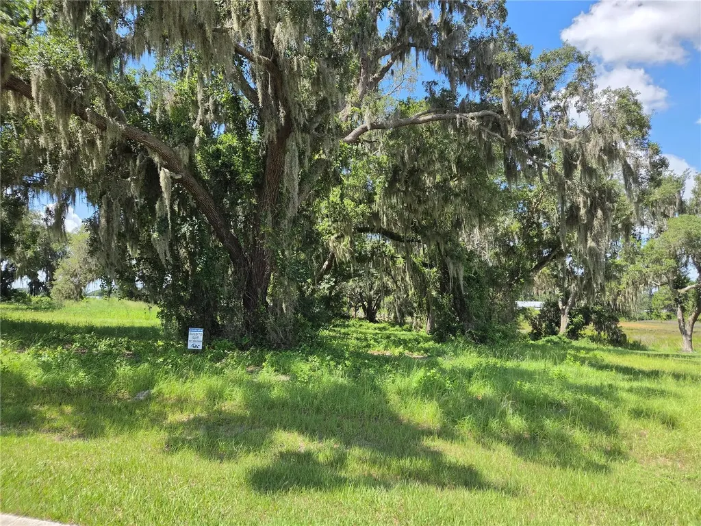 466 Long And Winding Road Howey In The Hills FL 34737