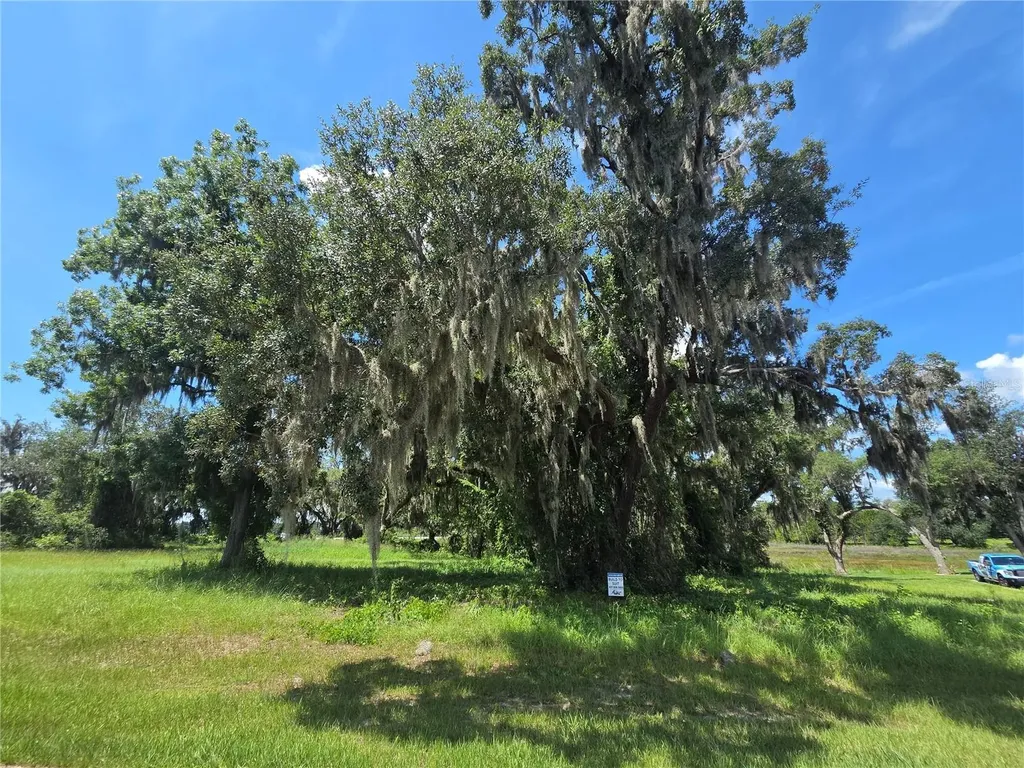 466 Long And Winding Road Howey In The Hills FL 34737