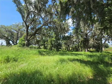 466 Long And Winding Road Howey In The Hills FL 34737