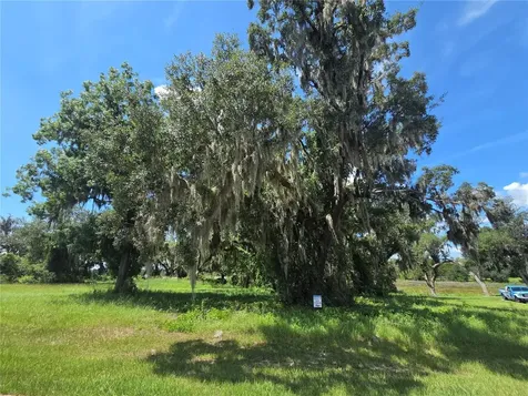 466 Long And Winding Road Howey In The Hills FL 34737