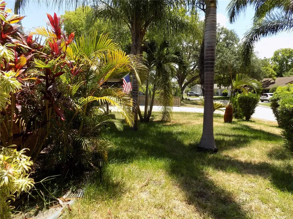 3849 Edgemont Drive New Port Richey FL 34652