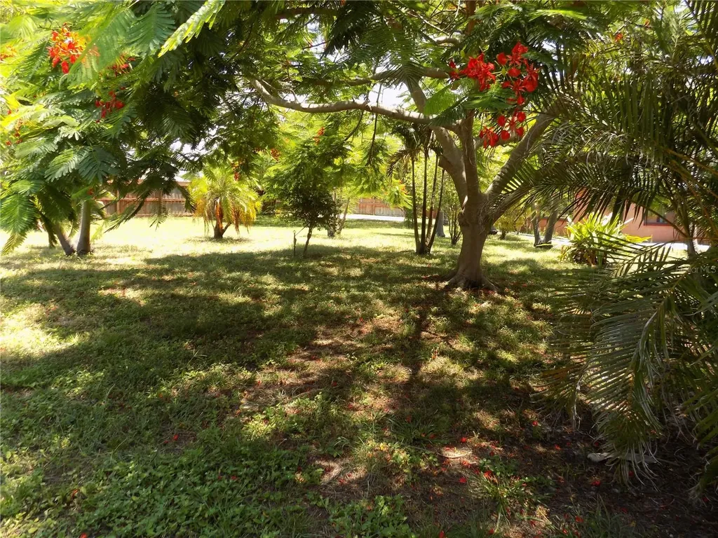 3849 Edgemont Drive New Port Richey FL 34652