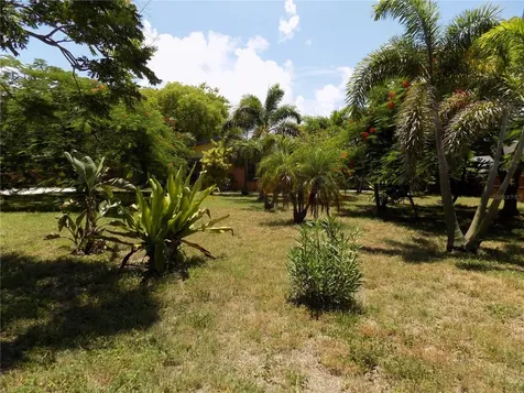 3849 Edgemont Drive New Port Richey FL 34652