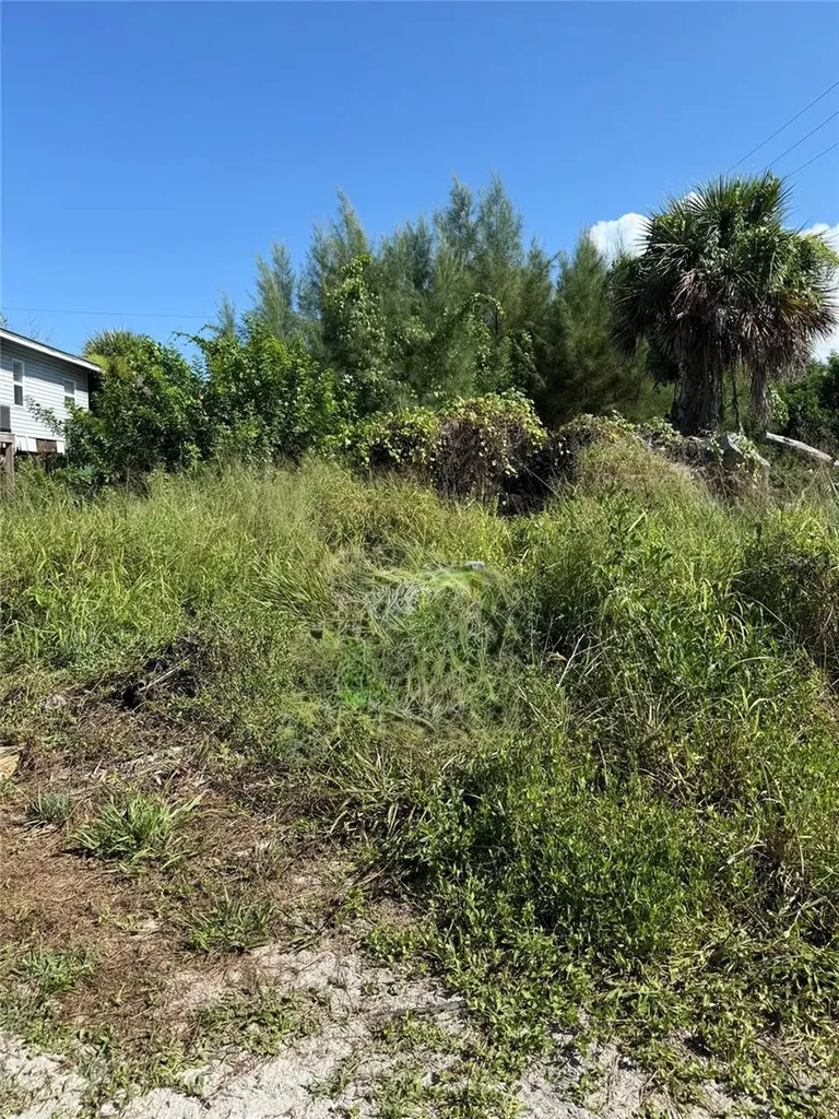 8990 Seagrape Lane Boca Grande FL 33921