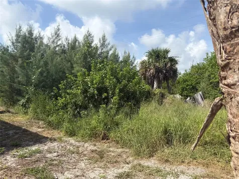8990 Seagrape Lane Placida FL 33946