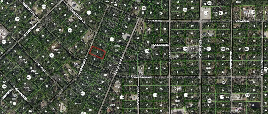 9345 N Beechtree Way Crystal River FL 34428