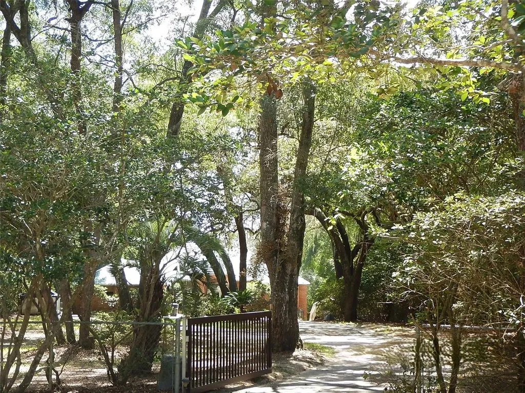 8315 Lilly Lake Road Melrose FL 32666