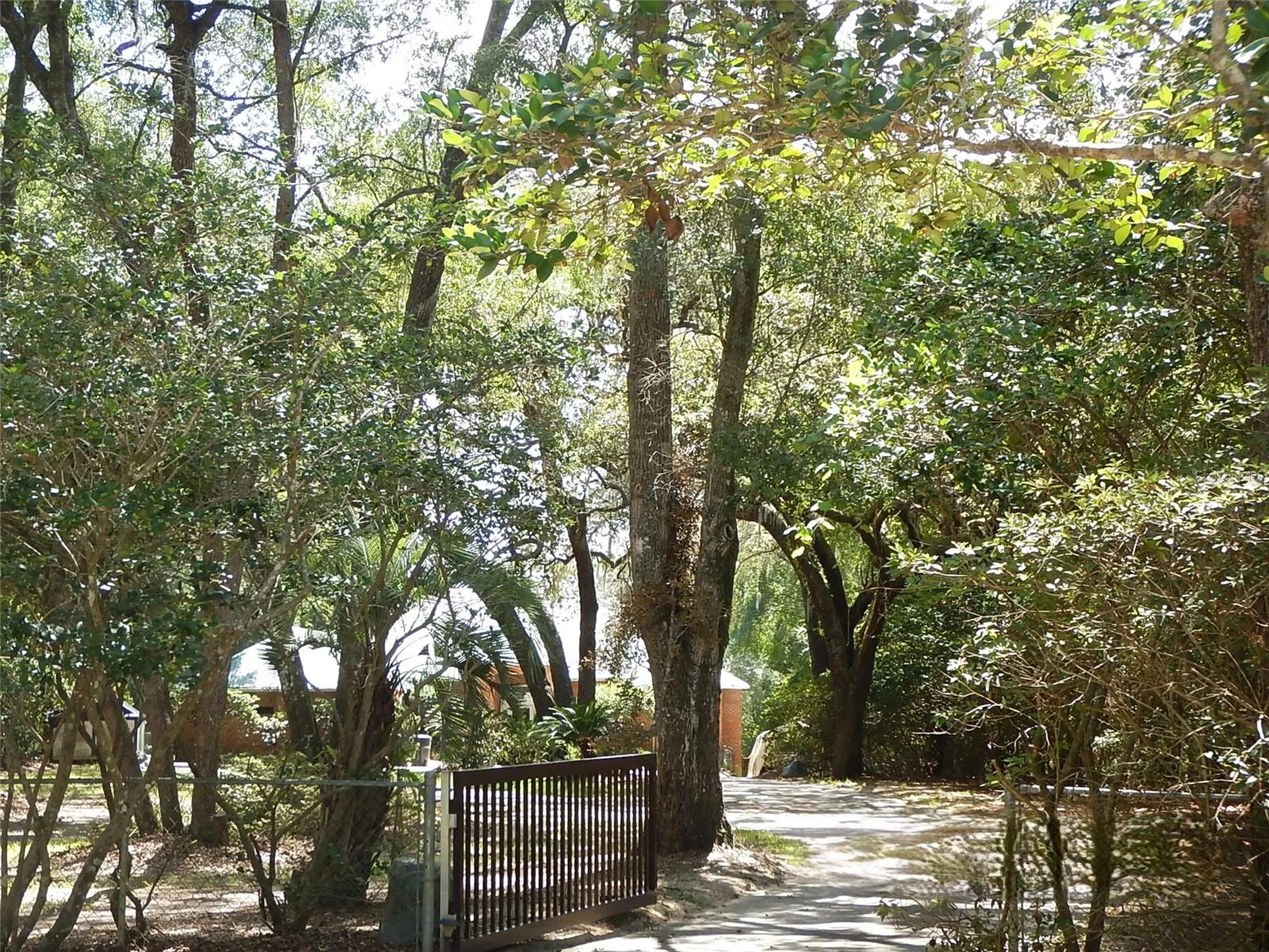 8315 Lilly Lake Road Melrose FL 32666