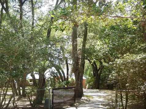 8315 Lilly Lake Road Melrose FL 32666