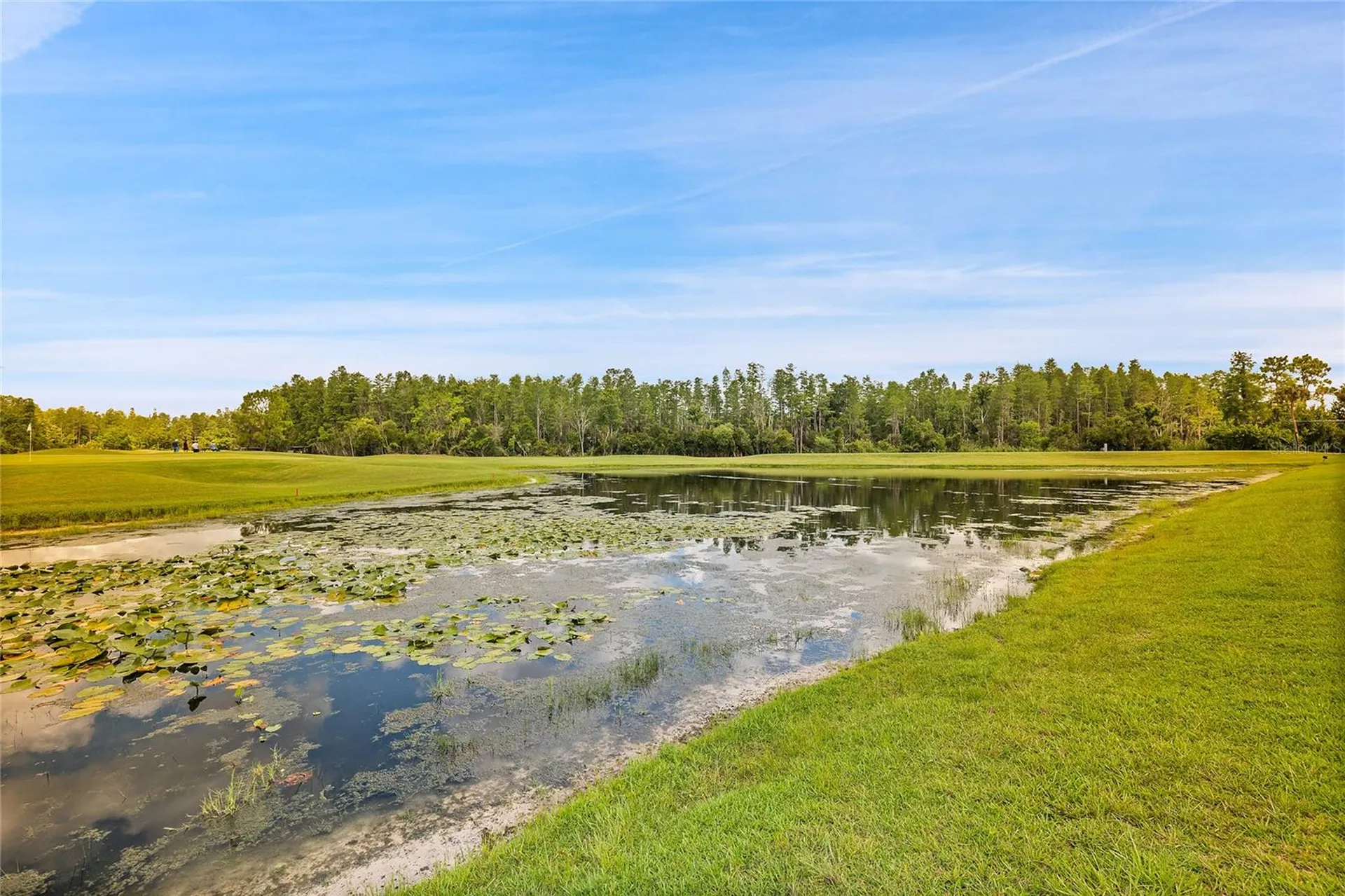 7154 Melogold Circle Land O Lakes FL 34637