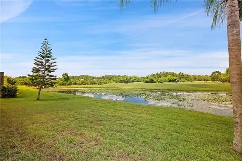 7154 Melogold Circle Land O Lakes FL 34637