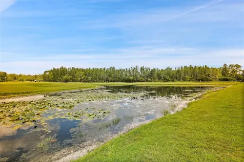 7154 Melogold Circle Land O Lakes FL 34637