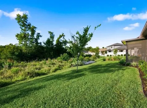 11392 Weaver Hollow Road New Port Richey FL 34654