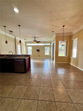 16127 Bristol Lake Circle Orlando FL 32828