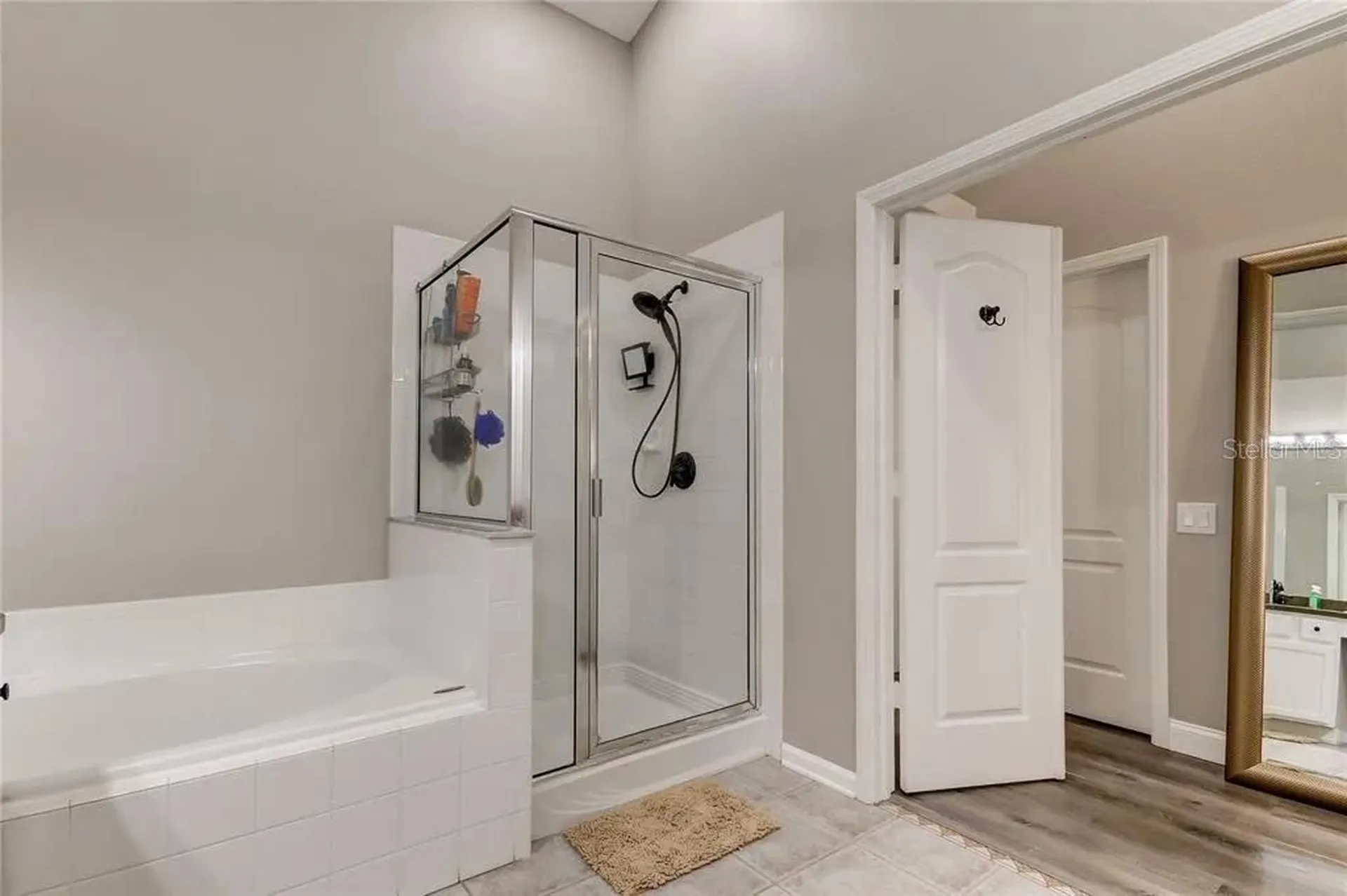 12213 Ravens Nest Place Riverview FL 33578